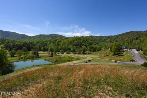 Tiny photo for 1148 Laurel Rd, Townsend, TN 37882 (MLS # 1329409)