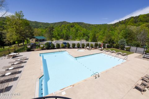 Tiny photo for 1148 Laurel Rd, Townsend, TN 37882 (MLS # 1329409)