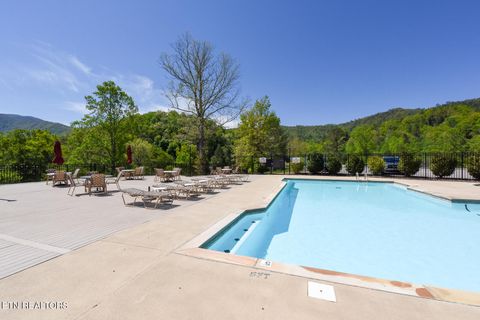 Tiny photo for 1148 Laurel Rd, Townsend, TN 37882 (MLS # 1329409)