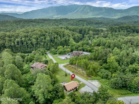 Tiny photo for 1148 Laurel Rd, Townsend, TN 37882 (MLS # 1329409)