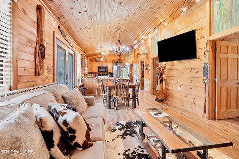 Tiny photo for 1148 Laurel Rd, Townsend, TN 37882 (MLS # 1329409)