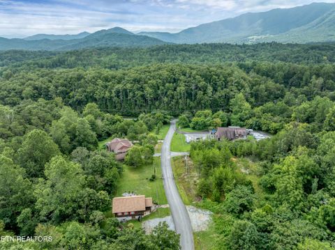 Tiny photo for 1148 Laurel Rd, Townsend, TN 37882 (MLS # 1329409)