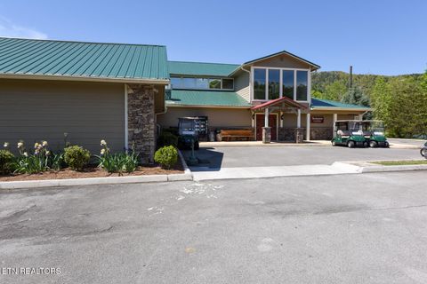 Tiny photo for 1148 Laurel Rd, Townsend, TN 37882 (MLS # 1329409)