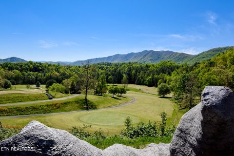 Tiny photo for 1148 Laurel Rd, Townsend, TN 37882 (MLS # 1329409)