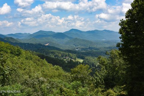 Tiny photo for 1148 Laurel Rd, Townsend, TN 37882 (MLS # 1329409)