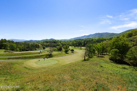 Tiny photo for 1148 Laurel Rd, Townsend, TN 37882 (MLS # 1329409)