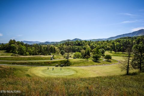 Tiny photo for 1148 Laurel Rd, Townsend, TN 37882 (MLS # 1329409)