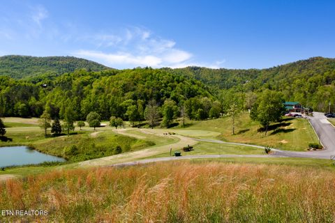 Tiny photo for 1148 Laurel Rd, Townsend, TN 37882 (MLS # 1329409)