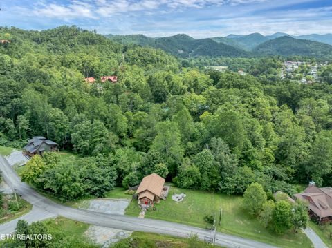 Tiny photo for 1148 Laurel Rd, Townsend, TN 37882 (MLS # 1329409)