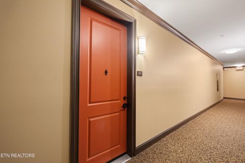 Tiny photo for 445 W Blount Ave #325, Knoxville, TN 37920 (MLS # 1298648)