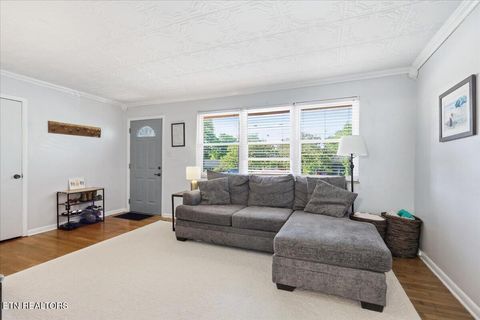 Tiny photo for 521 Tipton Ave, Knoxville, TN 37920 (MLS # 1340309)