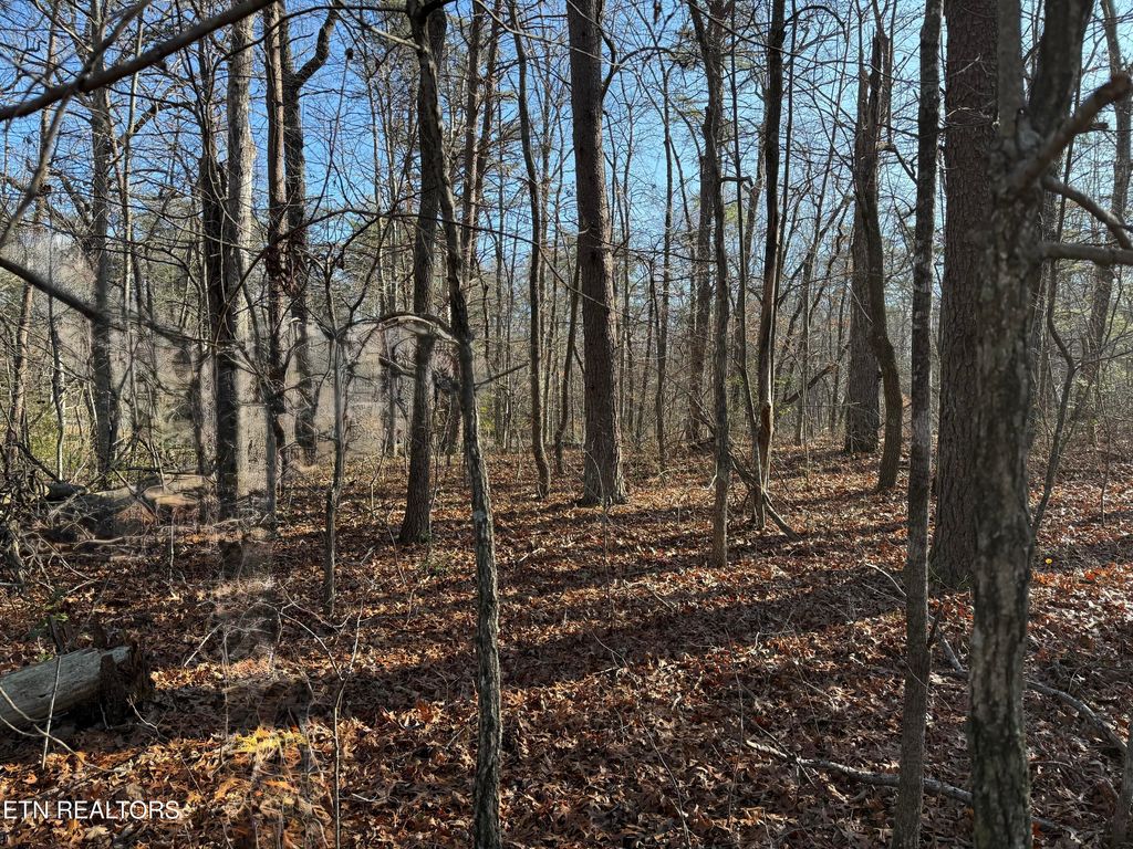 Photo of 78 White Oak Rd, Monterey, TN 38574 (MLS # 1328169)