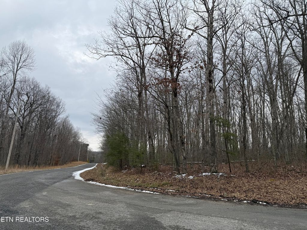 Photo of White Oak Rd, Monterey, TN 38574 (MLS # 1328169)
