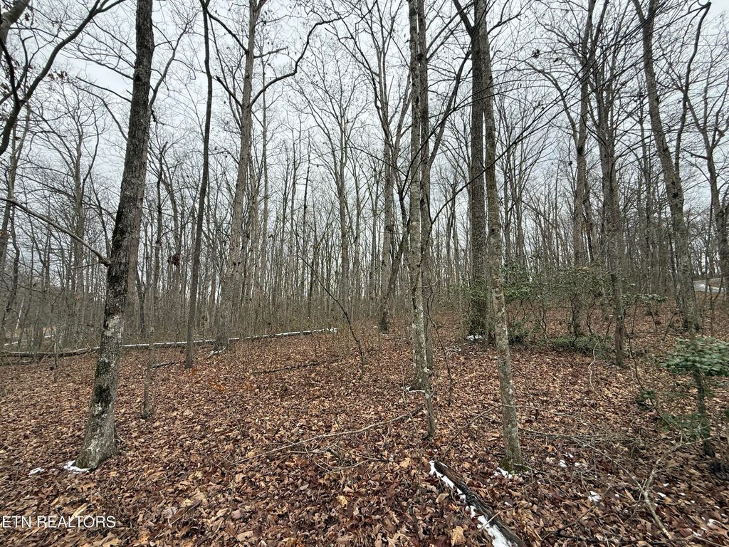 Photo of White Oak Rd, Monterey, TN 38574 (MLS # 1328169)