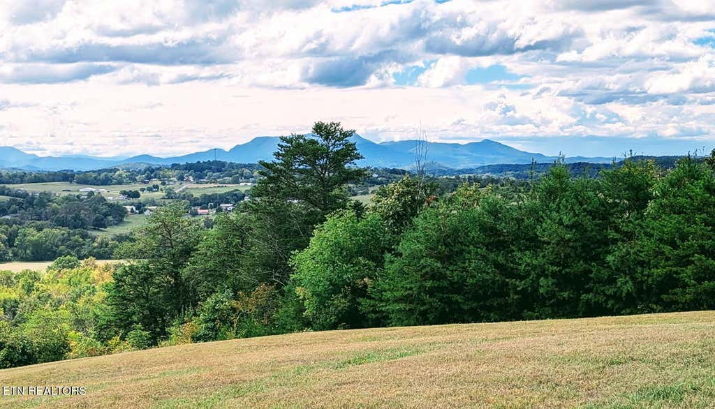 Photo of 208 n Hwy 340, Parrottsville, TN 37843 (MLS # 1308074)