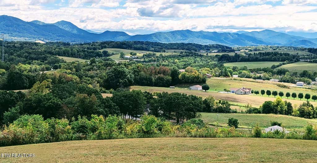 Photo of 208 n Hwy 340, Parrottsville, TN 37843 (MLS # 1308074)