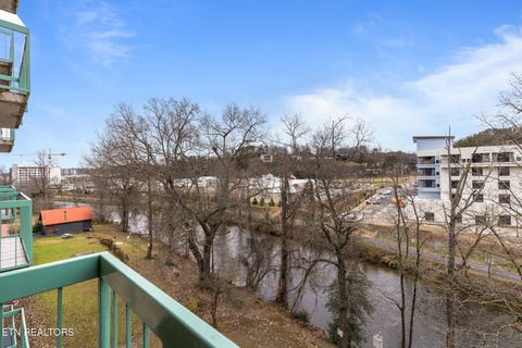 Tiny photo for 3215 N River Rd #503, Pigeon Forge, TN 37863 (MLS # 1326177)