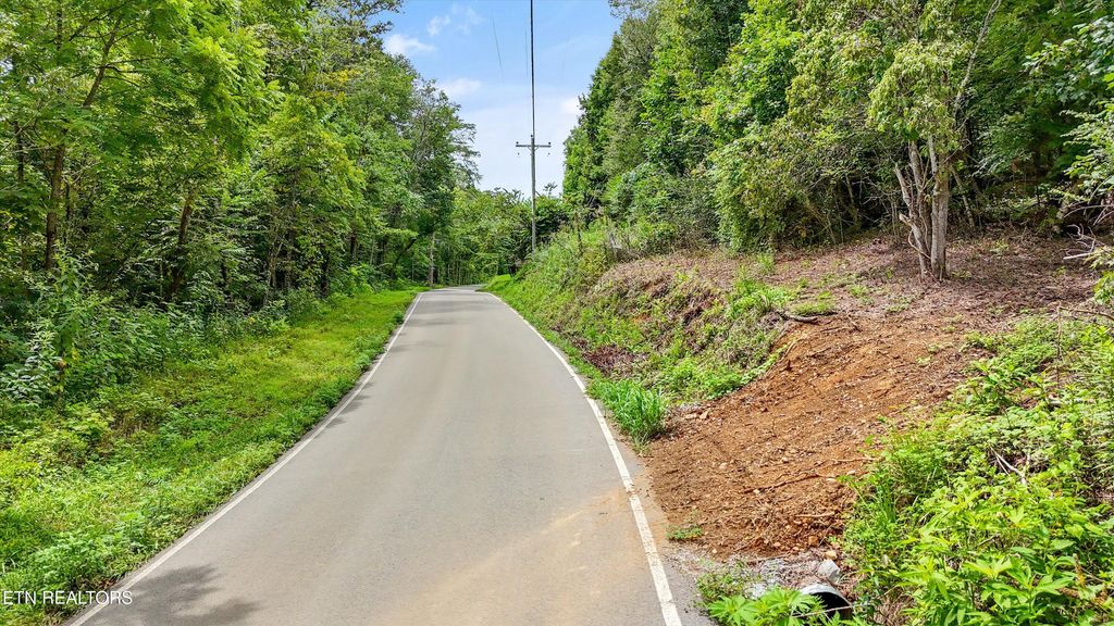 Photo of 424 Unicoi Church Rd, Tellico Plains, TN 37385 (MLS # 1311141)