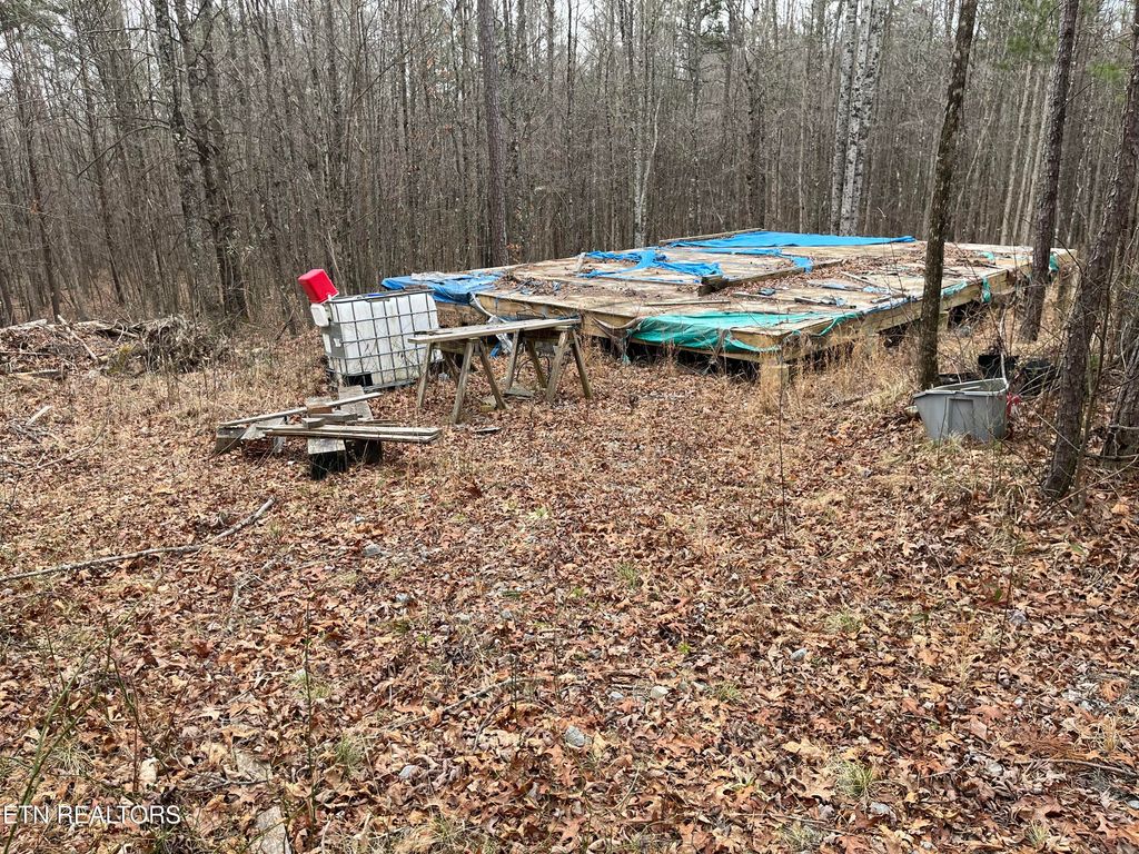 Photo of 408 Veterans Lookout, Wilder, TN 38589 (MLS # 1331323)