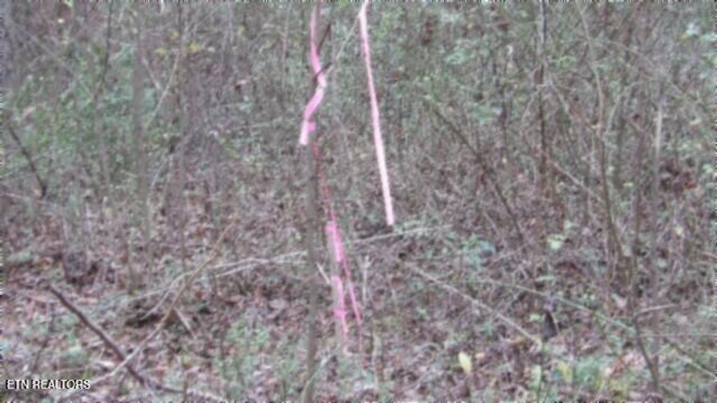 Photo of 761 Petit Lane Ln, Wartburg, TN 37887 (MLS # 1283616)