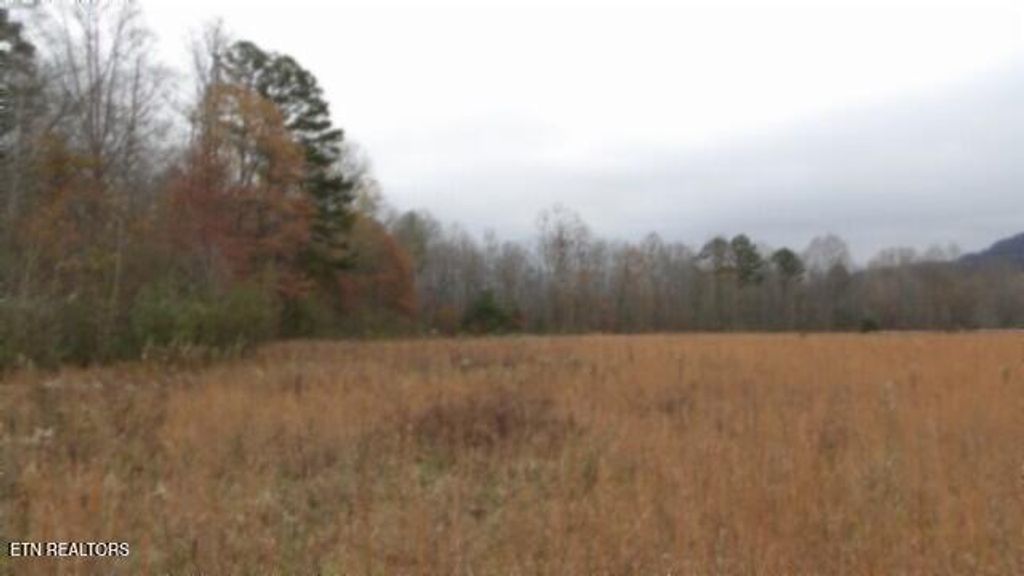 Photo of 761 Petit Lane Ln, Wartburg, TN 37887 (MLS # 1283616)