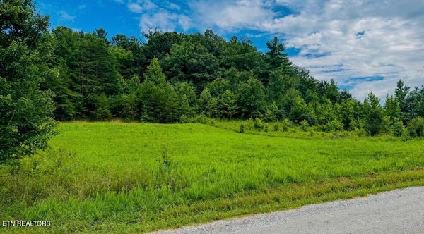 CLAY BOYATT RD, ONEIDA, TN 37841 - Image e83f82558082c3b2da2f81c96114c3b4/3076356511