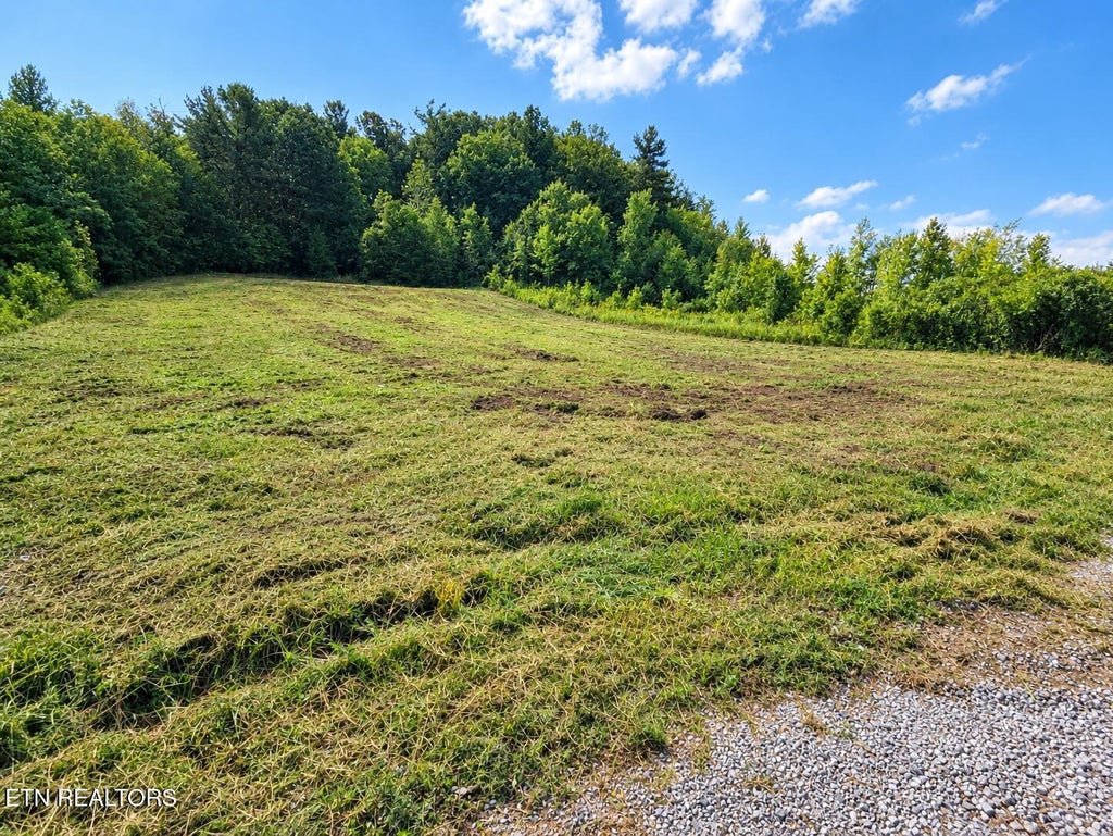 Photo of Clay Boyatt Rd, Oneida, TN 37841 (MLS # 1347310)
