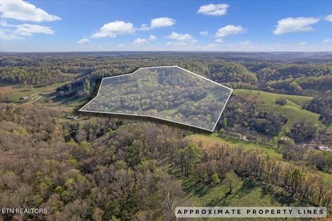 Photo of 1624 Bartlett Hollow Rd, Petersburg, TN 37144 (MLS # 1336698)