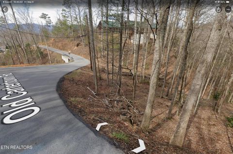 Tiny photo for 3 Old Cartertown (4.49 acres) Rd, Gatlinburg, TN 37738 (MLS # 1323303)