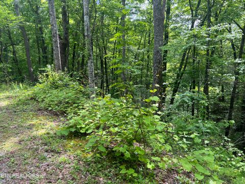 Tiny photo for 3 Old Cartertown (4.49 acres) Rd, Gatlinburg, TN 37738 (MLS # 1323303)