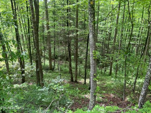 Tiny photo for 3 Old Cartertown (4.49 acres) Rd, Gatlinburg, TN 37738 (MLS # 1323303)