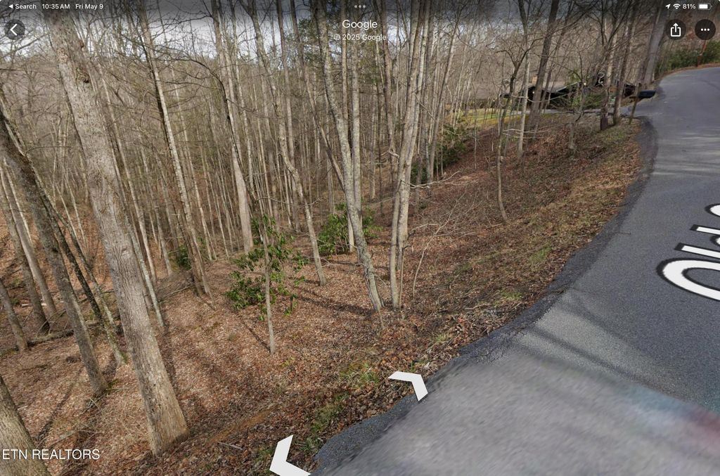 Photo of 3 Old Cartertown (4.49 acres) Rd, Gatlinburg, TN 37738 (MLS # 1323303)
