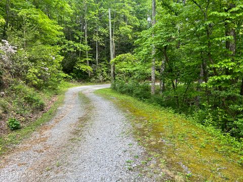 Tiny photo for 3 Old Cartertown (4.49 acres) Rd, Gatlinburg, TN 37738 (MLS # 1323303)