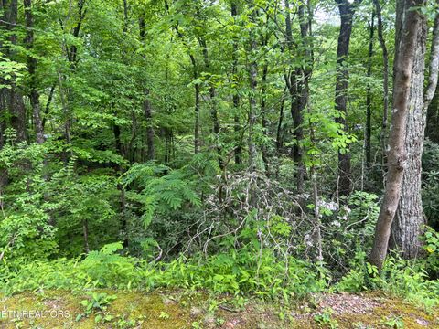 Tiny photo for 3 Old Cartertown (4.49 acres) Rd, Gatlinburg, TN 37738 (MLS # 1323303)