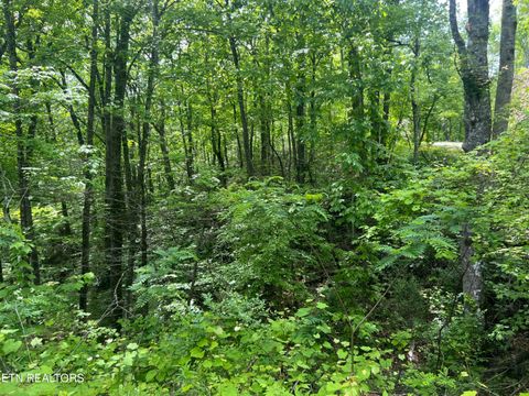 Tiny photo for 3 Old Cartertown (4.49 acres) Rd, Gatlinburg, TN 37738 (MLS # 1323303)