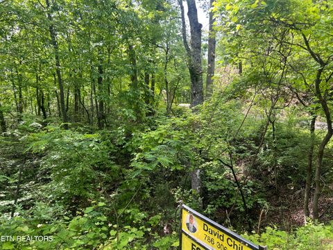 Tiny photo for 3 Old Cartertown (4.49 acres) Rd, Gatlinburg, TN 37738 (MLS # 1323303)