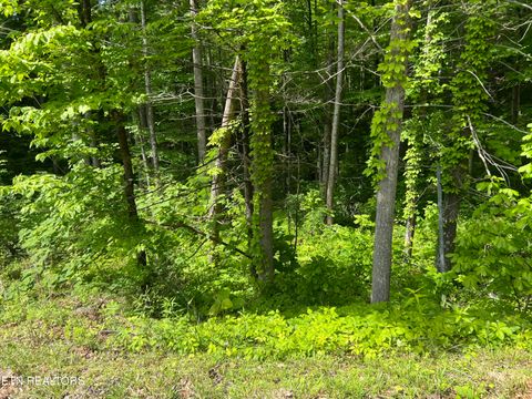 Tiny photo for 3 Old Cartertown (4.49 acres) Rd, Gatlinburg, TN 37738 (MLS # 1323303)