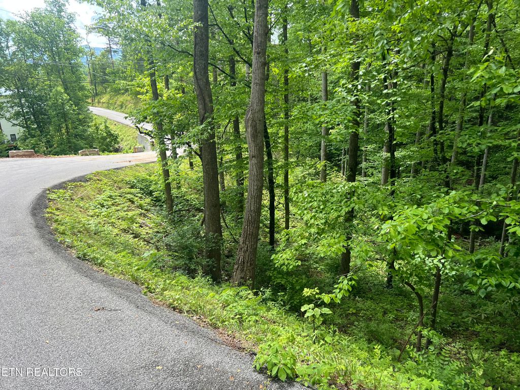Photo of 3 Old Cartertown (4.49 acres) Rd, Gatlinburg, TN 37738 (MLS # 1323303)