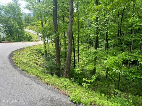 Tiny photo for 3 Old Cartertown (4.49 acres) Rd, Gatlinburg, TN 37738 (MLS # 1323303)