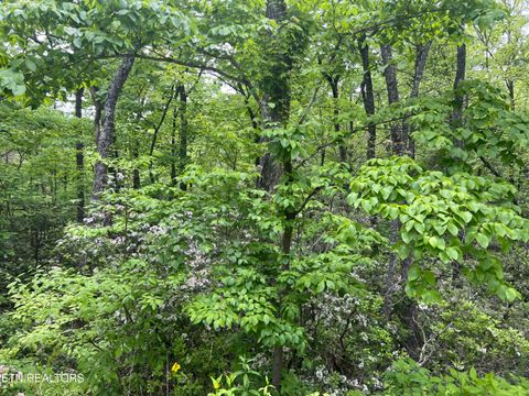 Tiny photo for 3 Old Cartertown (4.49 acres) Rd, Gatlinburg, TN 37738 (MLS # 1323303)
