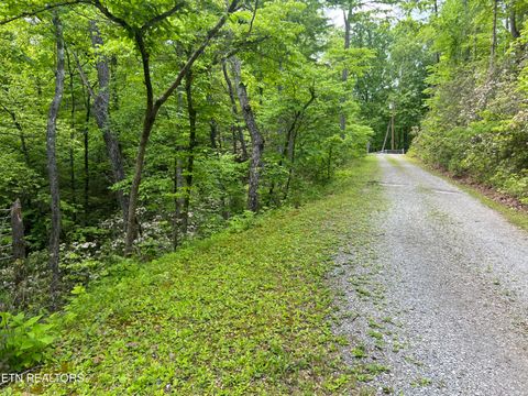 Tiny photo for 3 Old Cartertown (4.49 acres) Rd, Gatlinburg, TN 37738 (MLS # 1323303)
