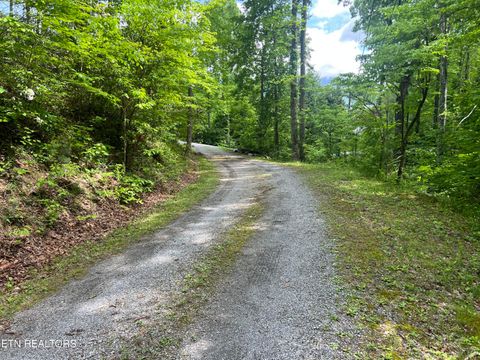 Tiny photo for 3 Old Cartertown (4.49 acres) Rd, Gatlinburg, TN 37738 (MLS # 1323303)