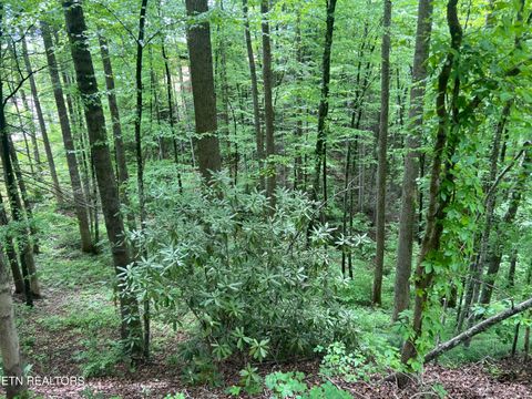 Tiny photo for 3 Old Cartertown (4.49 acres) Rd, Gatlinburg, TN 37738 (MLS # 1323303)