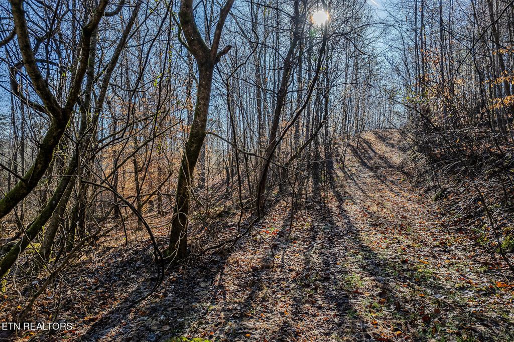Photo of 00 Tellico Camp Rd, Madisonville, TN 37354 (MLS # 1288332)