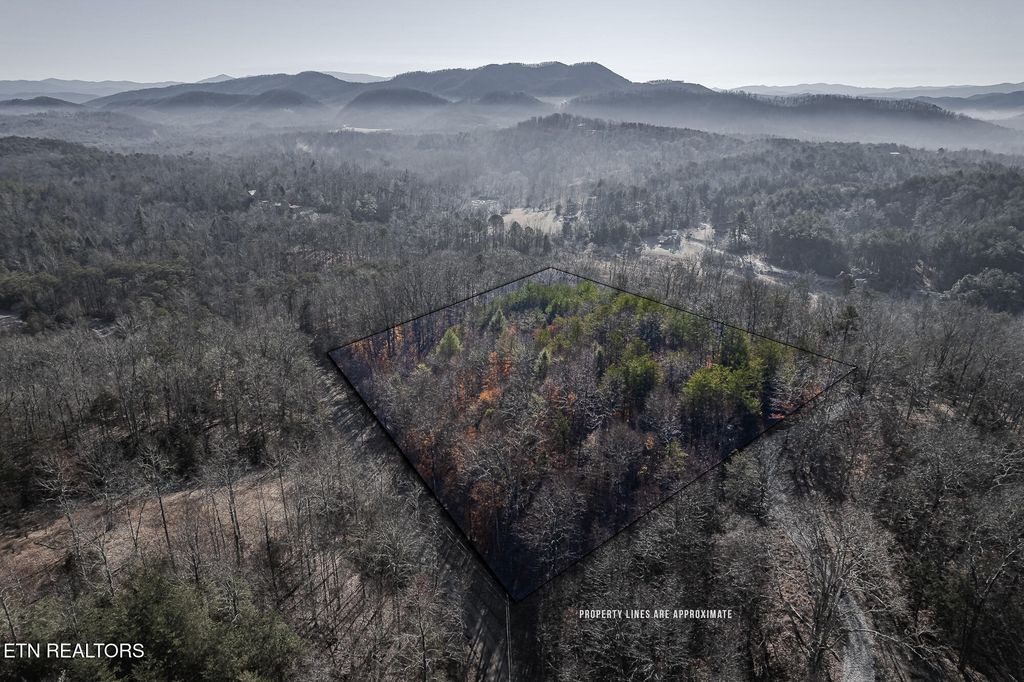 Photo of 00 Tellico Camp Rd, Madisonville, TN 37354 (MLS # 1288332)