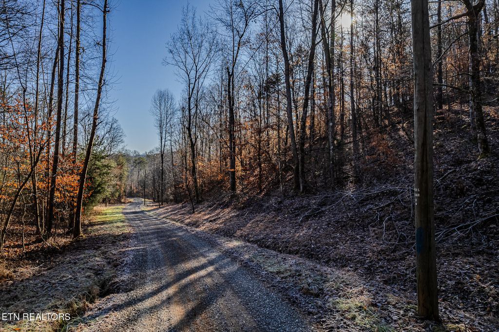 Photo of 00 Tellico Camp Rd, Madisonville, TN 37354 (MLS # 1288332)