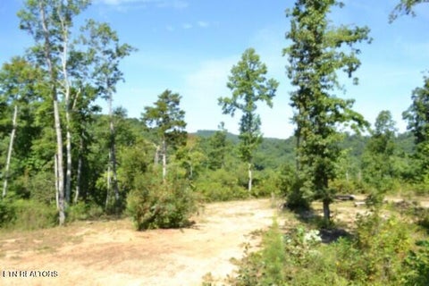 Photo of 985 Rock Springs Rd, Celina, TN 38551 (MLS # 1350689)