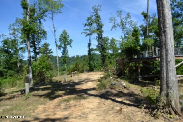 Photo of 985 Rock Springs Rd, Celina, TN 38551 (MLS # 1350689)
