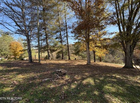 Tiny photo for 517 Bull Run Rd, Luttrell, TN 37779 (MLS # 1322273)