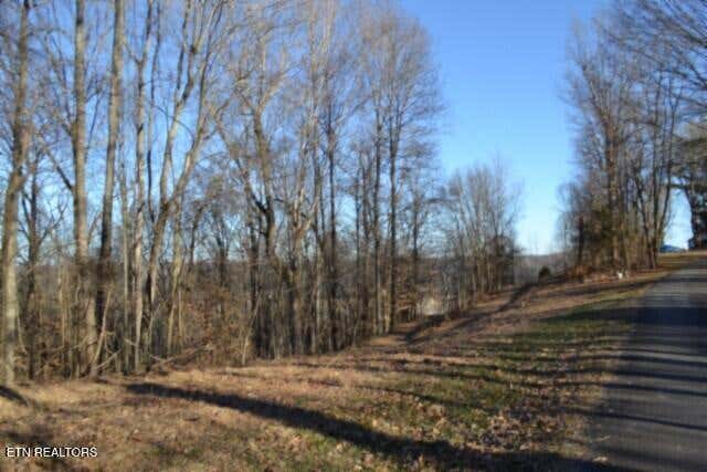 Photo of 552 Cabin Hill Rd, Celina, TN 38551 (MLS # 1351065)